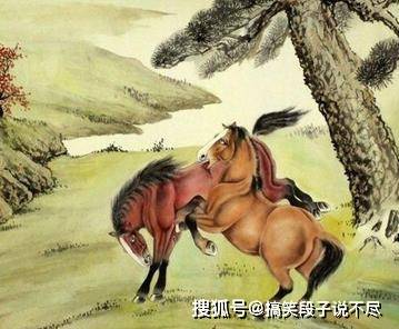 非好汉唔敢过岭钻角尖专打二数是什么生肖精选解析、解释与落实、定量解答解释落实