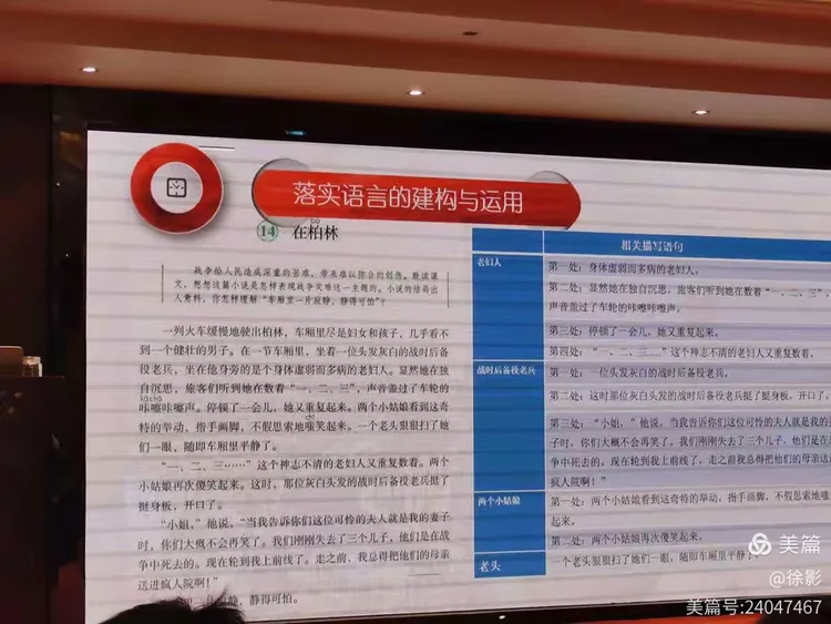 金枝玉叶雪中踏山盟海誓不变心什么生肖仔细释义、解释与落实、构建解答解释落实